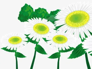 绿色春天创意花朵免抠