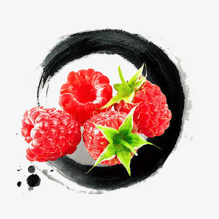 树莓中国水墨插画免抠