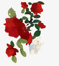 水彩红色玫瑰花花瓣免抠
