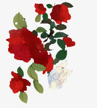 水彩红色玫瑰花花瓣免抠
