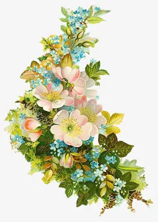 复古花卉植物素材免抠