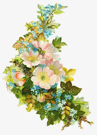 复古花卉植物素材免抠