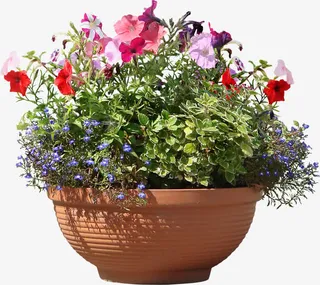 花盆与阳光免抠