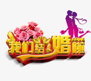 我们结婚了免抠