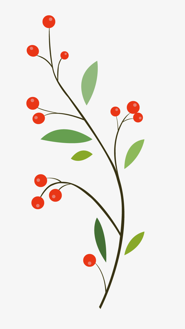 沙棘果透明元素 叶子透明元素免抠