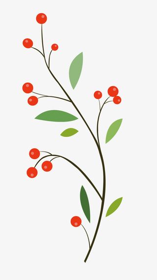 沙棘果透明元素 叶子透明元素免抠