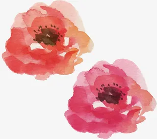 手绘水彩花卉免抠