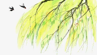 春日嫩芽树枝燕子装饰插图免抠