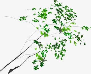 矢量手绘树枝免抠