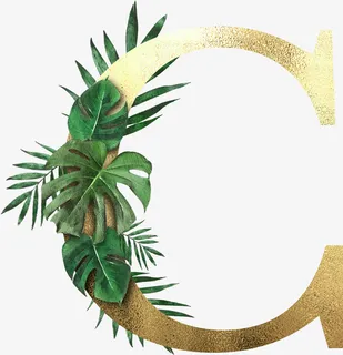创意植物字母C免抠