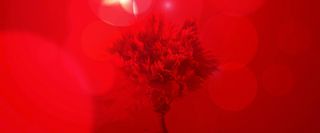 红色背景图高清