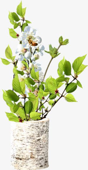 大理石花瓶绿叶白花免抠