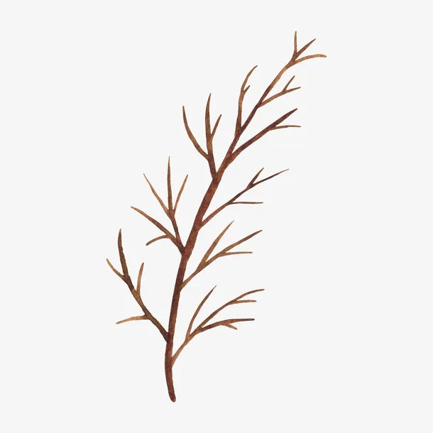 干枯的手绘树枝装饰免抠