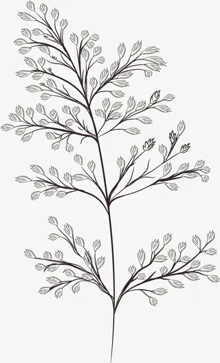 简约手绘树枝免抠