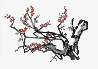 梅花免抠