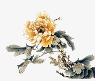 手绘国画花朵免抠