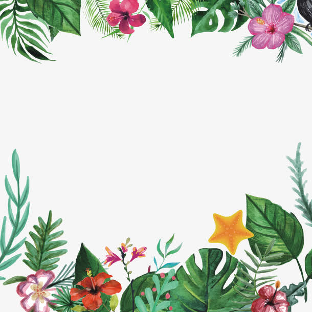 夏日植物边框免抠