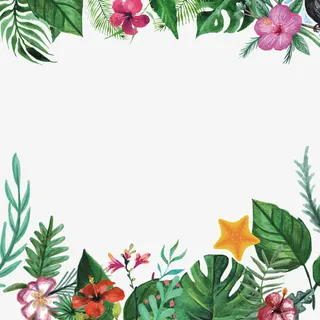 夏日植物边框免抠