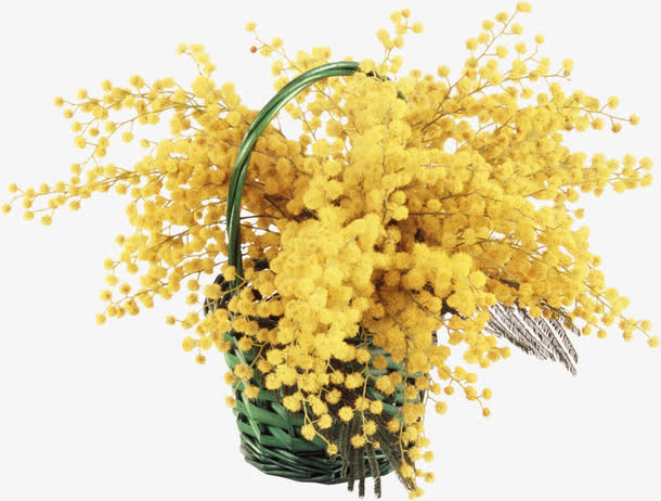 鲜花花卉水彩花卉 黄色花朵花篮免抠