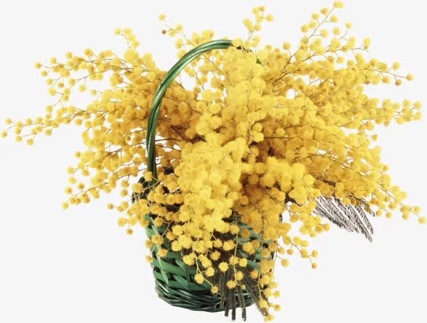 鲜花花卉水彩花卉 黄色花朵花篮免抠
