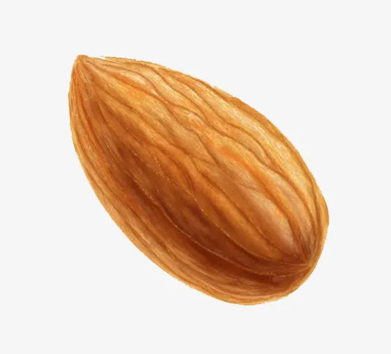 卡通杏仁免抠