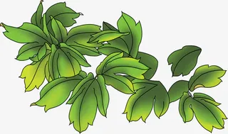 手绘绿色渐变树叶免抠