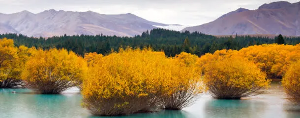 唯美摄影banner壁纸