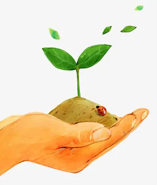 手绘手捧绿植免抠