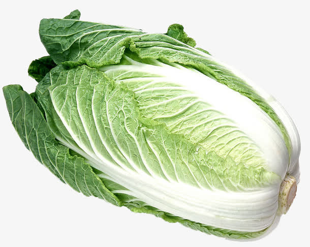 一颗大白菜免抠