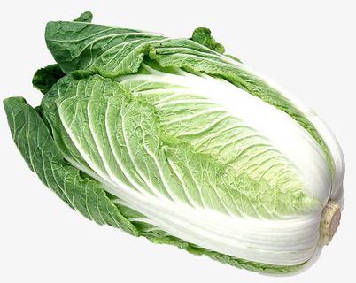 一颗大白菜免抠 一颗大白菜免抠