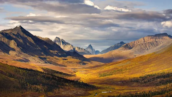 白云下的金色大地免抠