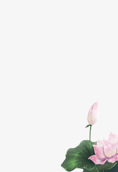 荷花免抠