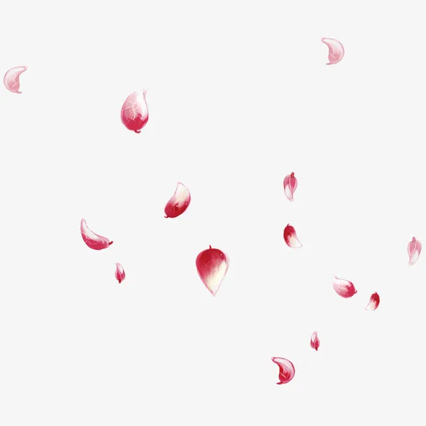 红色手绘花瓣漂浮素材免抠