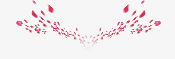 漂浮花瓣免抠
