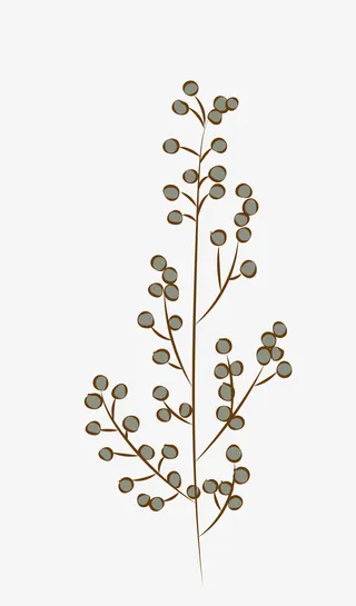 矢量卡通手绘树枝免抠