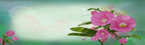 花瓣背景图
