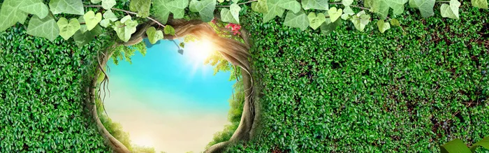 森系绿色清新电商淘宝banner背景高清
