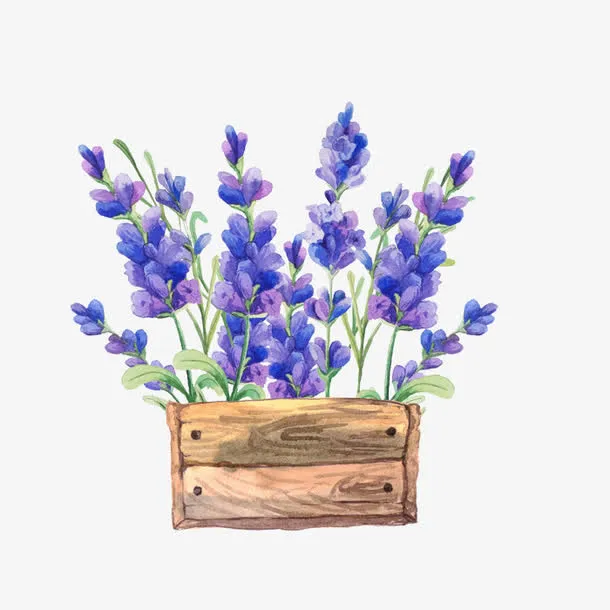 水彩画花卉免抠