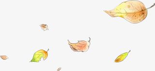 卡通可爱手绘黄叶免抠