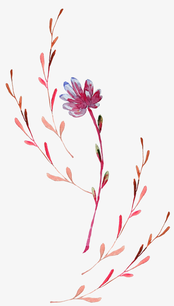 手绘卡通装饰花瓣花草装饰海报设免抠