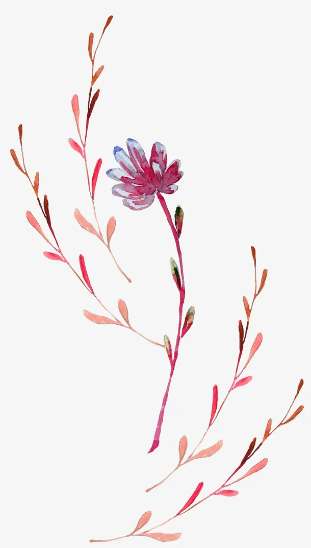 手绘卡通装饰花瓣花草装饰海报设免抠