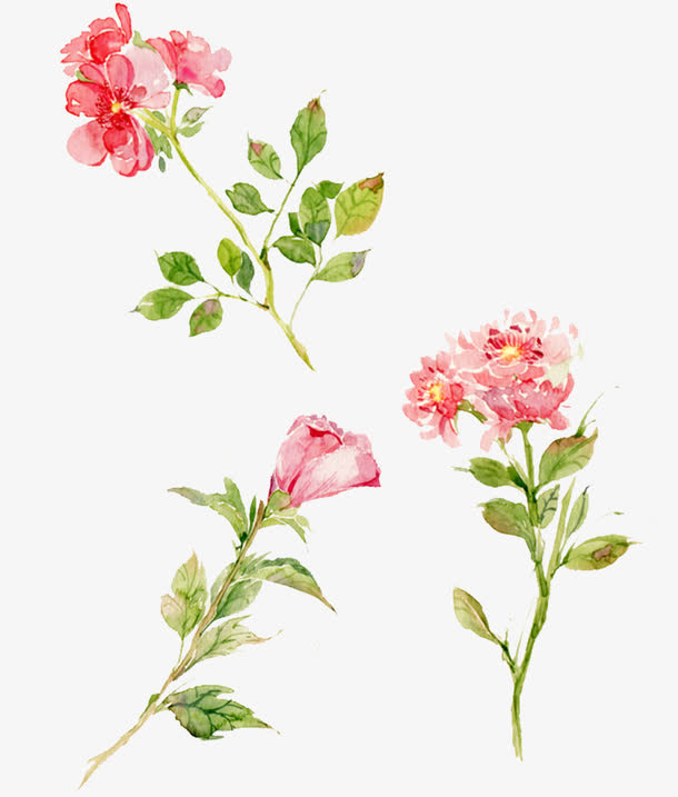 手绘小清新粉红色鲜花免抠