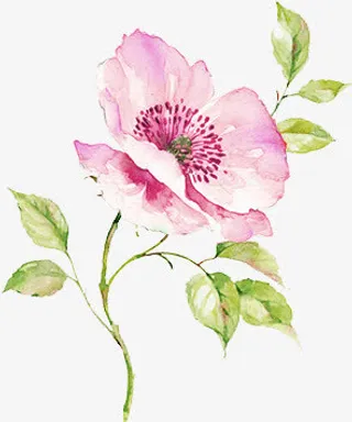 创意合成山水水墨花卉植物免抠