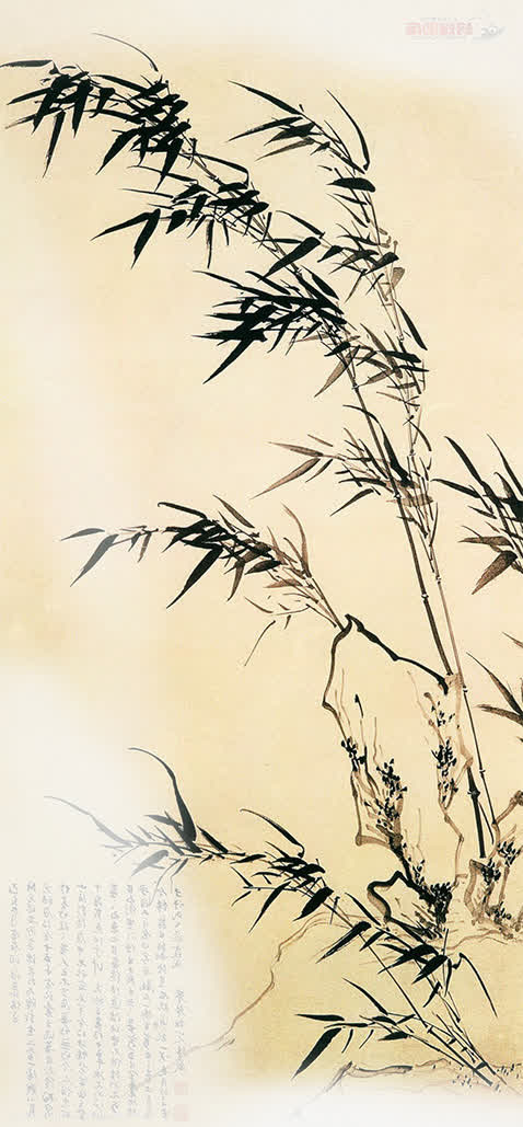 柳树免抠