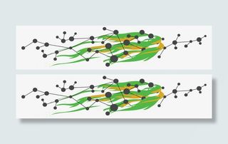 绿色科技感banner