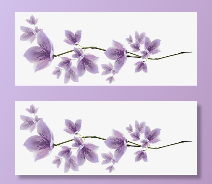 花枝花草红色手绘桃花免抠