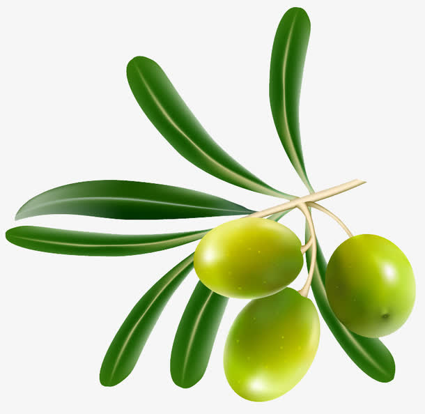 橄榄免抠