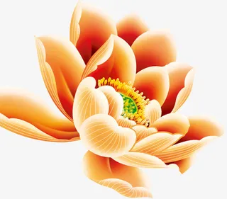 手绘黄色中国风花朵免抠