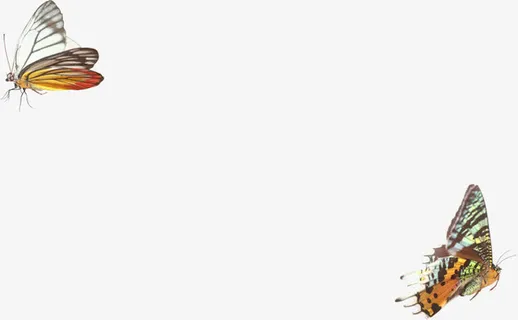 飞舞蝴蝶美景手绘春天意境免抠