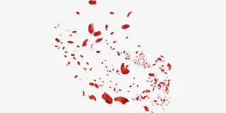 红色喜庆装饰花瓣免抠